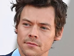 כרטיסים להארי סטיילס